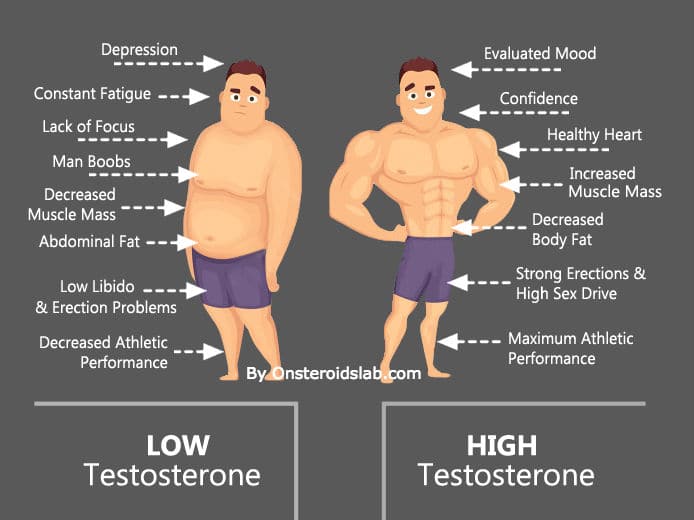 Natural steroids