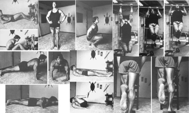 Arnold Schwarzenegger Home Workout Routine