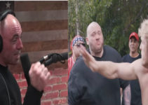 Joe Rogan Logan Paul slap