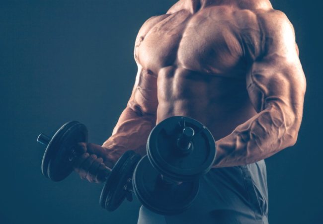 What Is Anabol Cycle