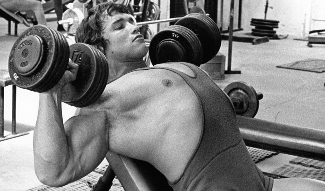 Arnold Schwarzenegger Workout Routine