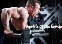 Benefits Of Dips Exercise