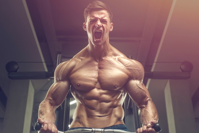 Best Injectable Steroids