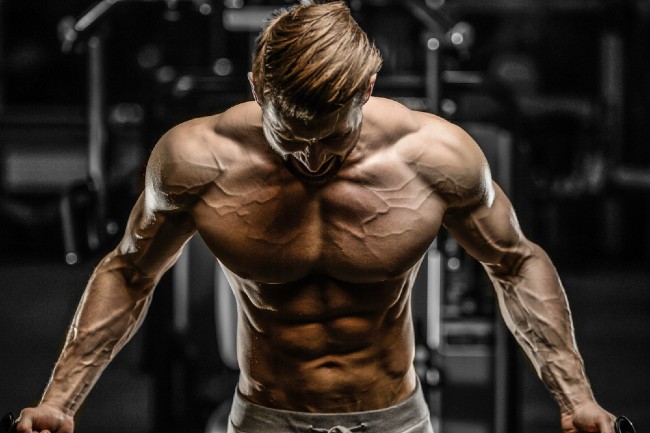 Calisthenics Vs Weights