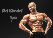 Dbol (Dianabol) cycle