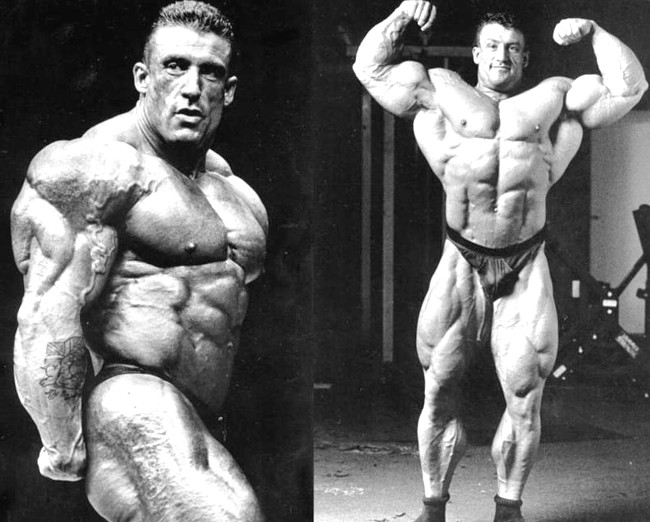 Dorian Yates Workout Routine