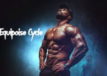 Equipoise Cycle