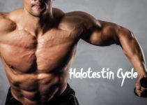 Halotestin Cycle