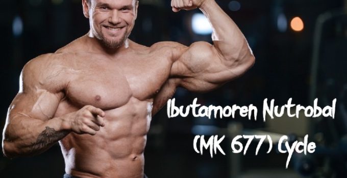 Ibutamoren Nutrobal (MK 677) cycle