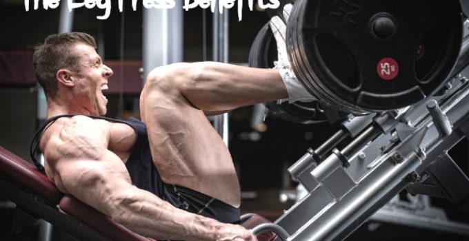 Leg Press Benefits