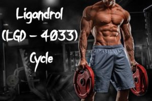 Ligandrol (LGD – 4033) cycle