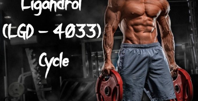 Ligandrol (LGD – 4033) cycle