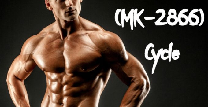 What Is Ostarine (MK-2866) – Cycle, Benefits, Dosage, And Side Effects