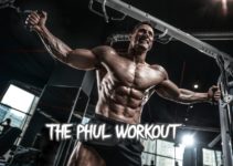 PHUL Workout