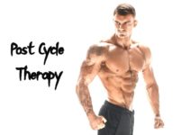 Post Cycle Therapy (What Is PCT)