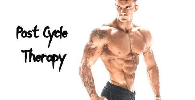 Post Cycle Therapy (What Is PCT)