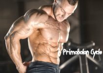 Primobolan Cycle - Effects And Dosage