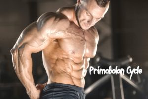 Primobolan Cycle - Effects And Dosage