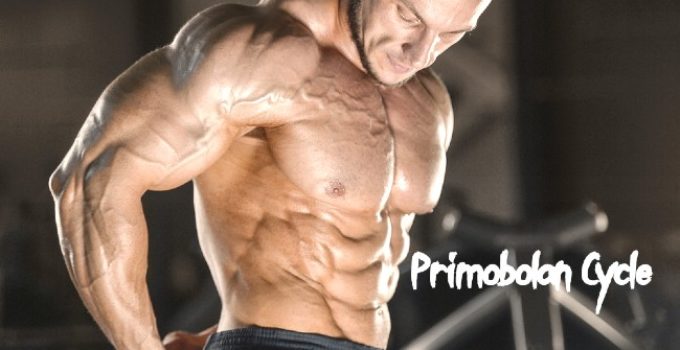 Primobolan Cycle - Effects And Dosage