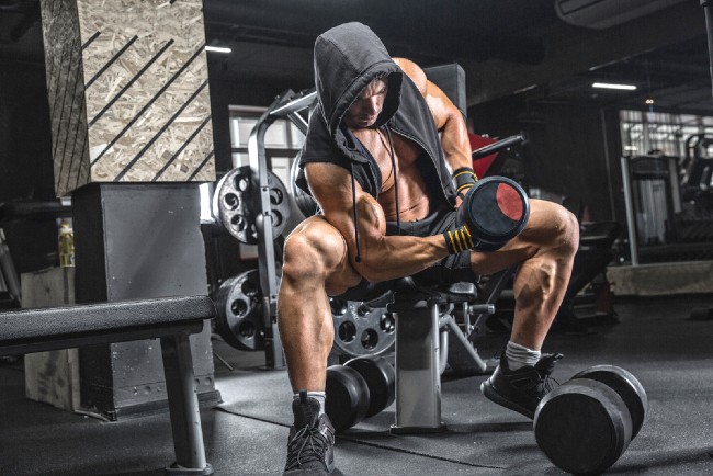 Push Pull Legs Routine PPL Workout