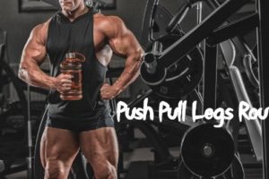 Push Pull Legs Routine PPL Workout