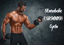 Stenabolic (SR9009) Cycle