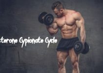 Testosterone Cypionate Cycle