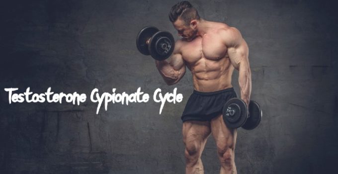 Testosterone Cypionate Cycle