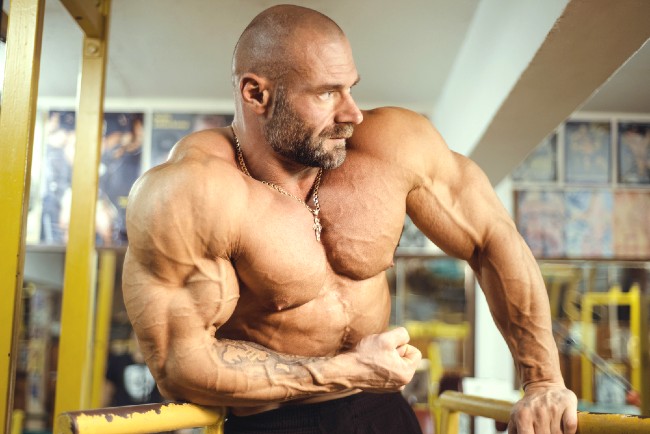 What Do Steroids Do To Your Body