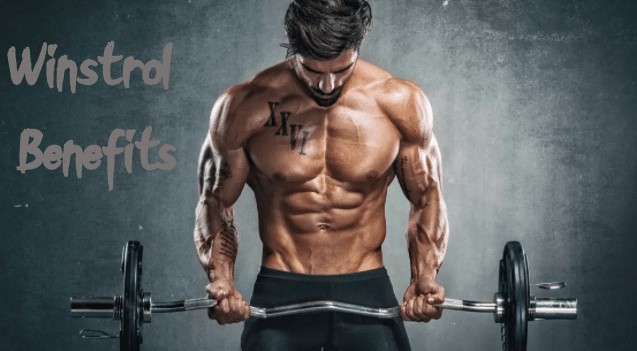 Winstrol Cycle: Reviews, Dosage, And Side Effects 1