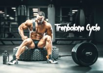 What is Trenbolone Cycle, Effects and Dosage