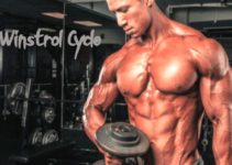 What Is Winstrol Cycle Dosage