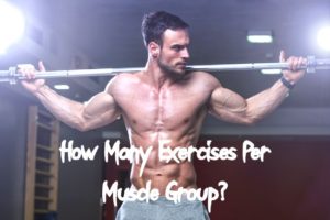 How Many Exercises Per Muscle Group