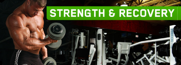 Creatine for Strength and Recovery
